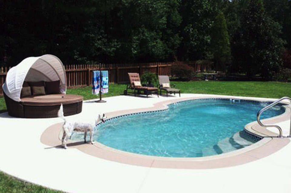 pool and lawn 